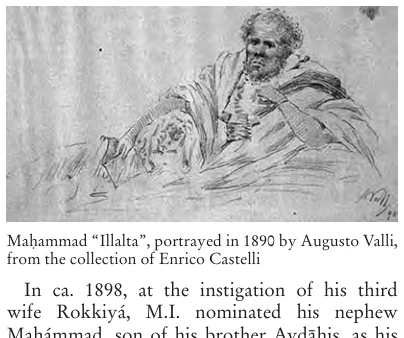 Illustration, Encyclopaedia Aethiopica volume 3, PDF page 676