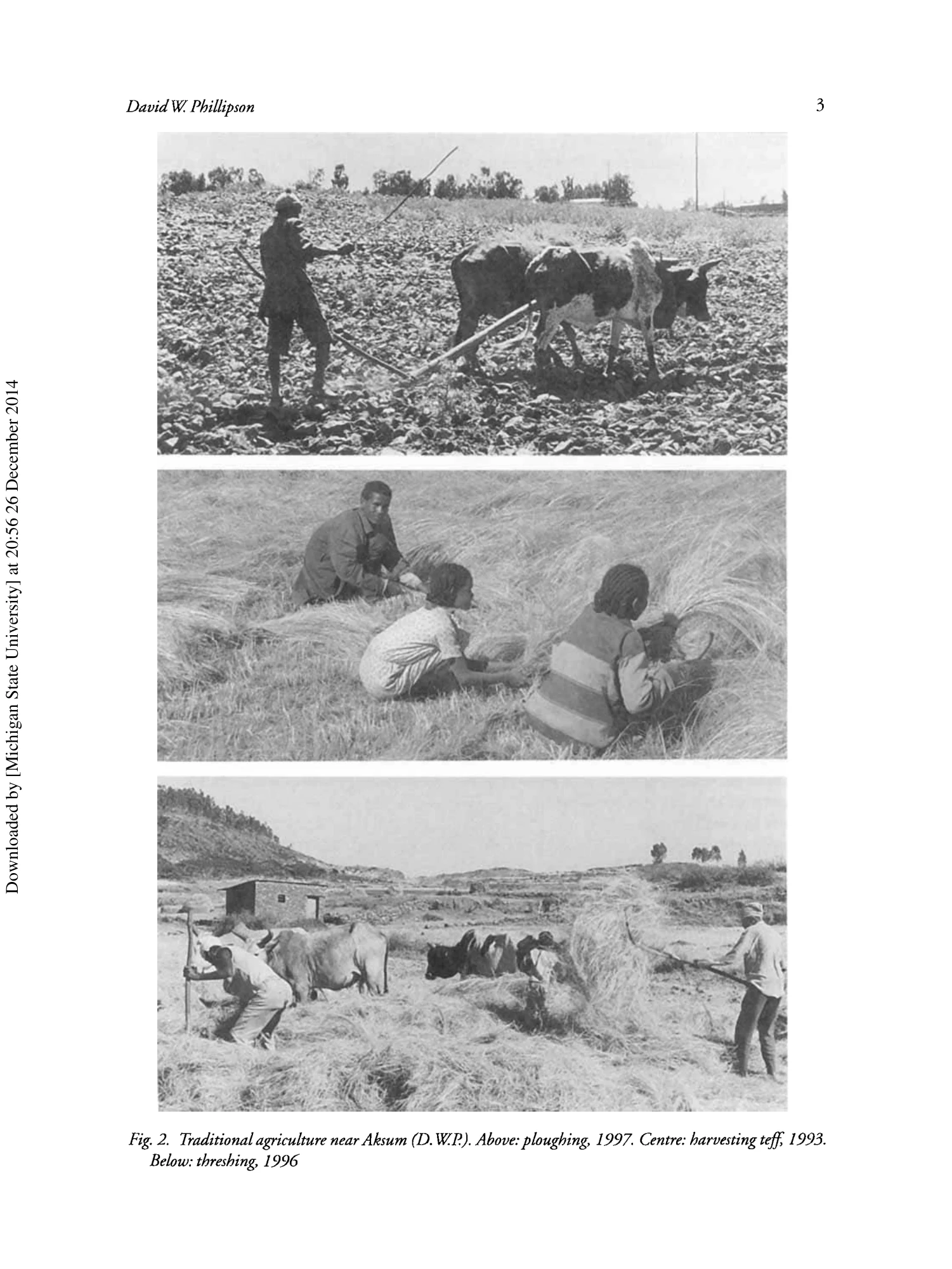 Aksum: An archaeological introduction and guide — illustrated page 4