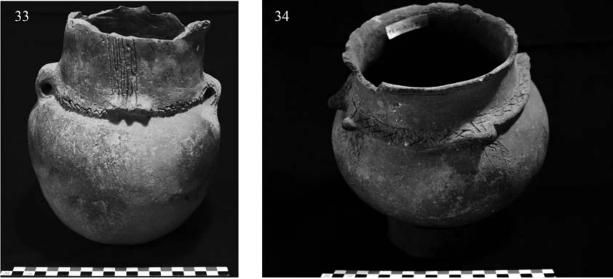 The Ancient Red Sea Port of Adulis and the Eritrean Coastal Region: Previous investigations and museum collections — illustration 1, PDF page 54