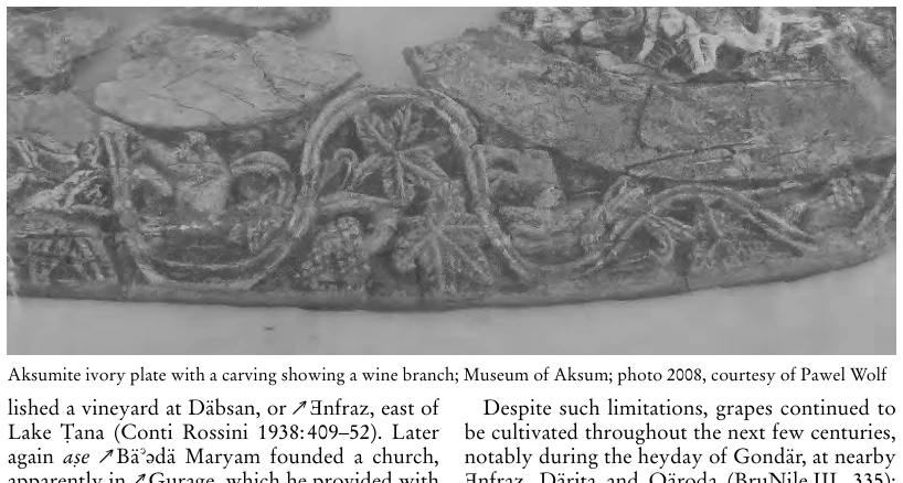 Illustration, Encyclopaedia Aethiopica volume 4, PDF page 1213
