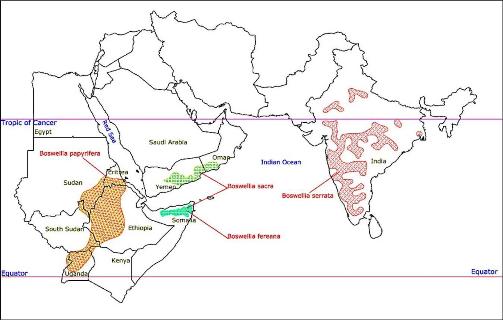 Modeling the Local Political Economy of Adulis: 1000 BCE - 700 ACE — illustration 1, PDF page 370