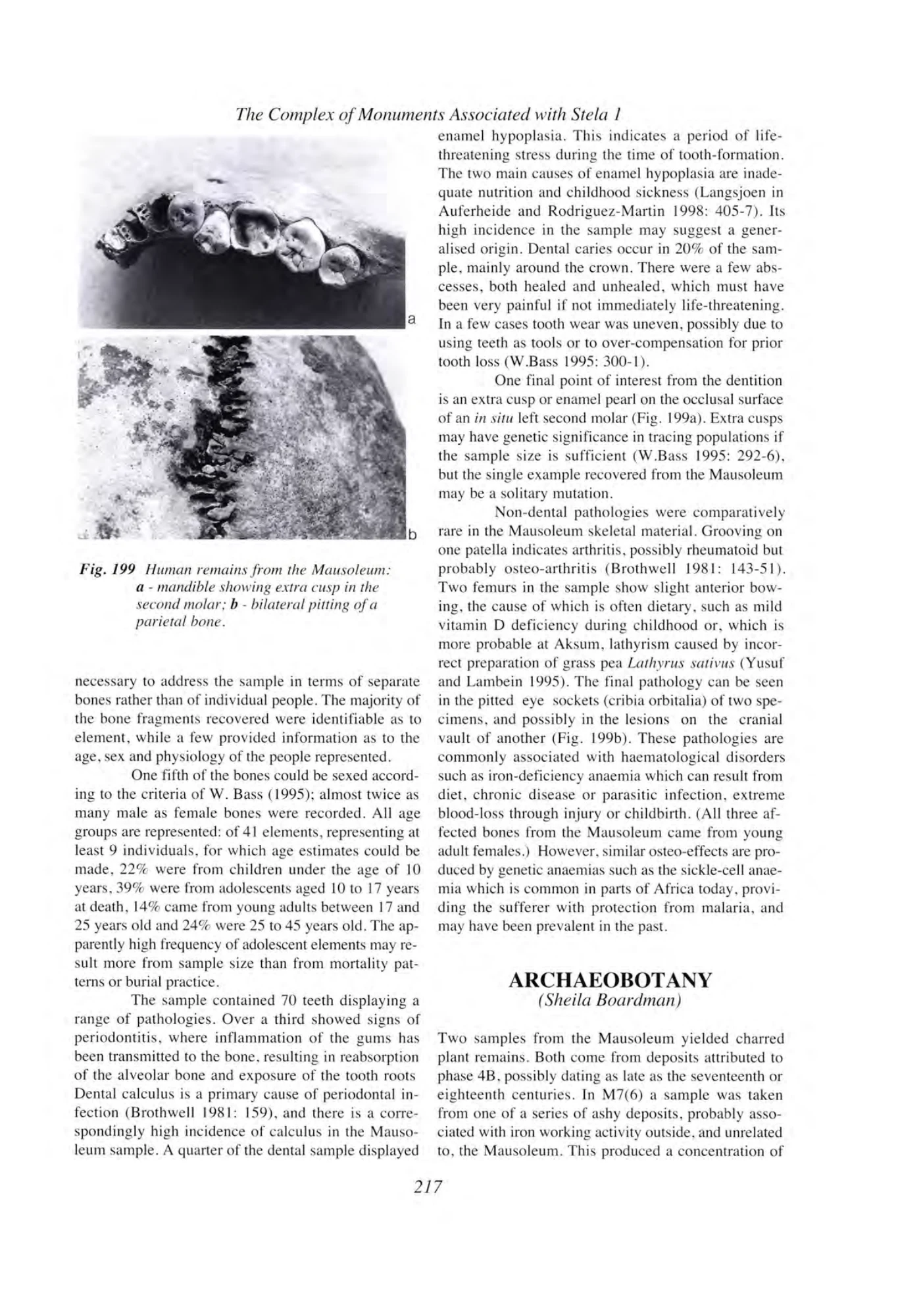 Archaeology at Aksum, Ethiopia, 1993-7, Volume I — illustrated page 236