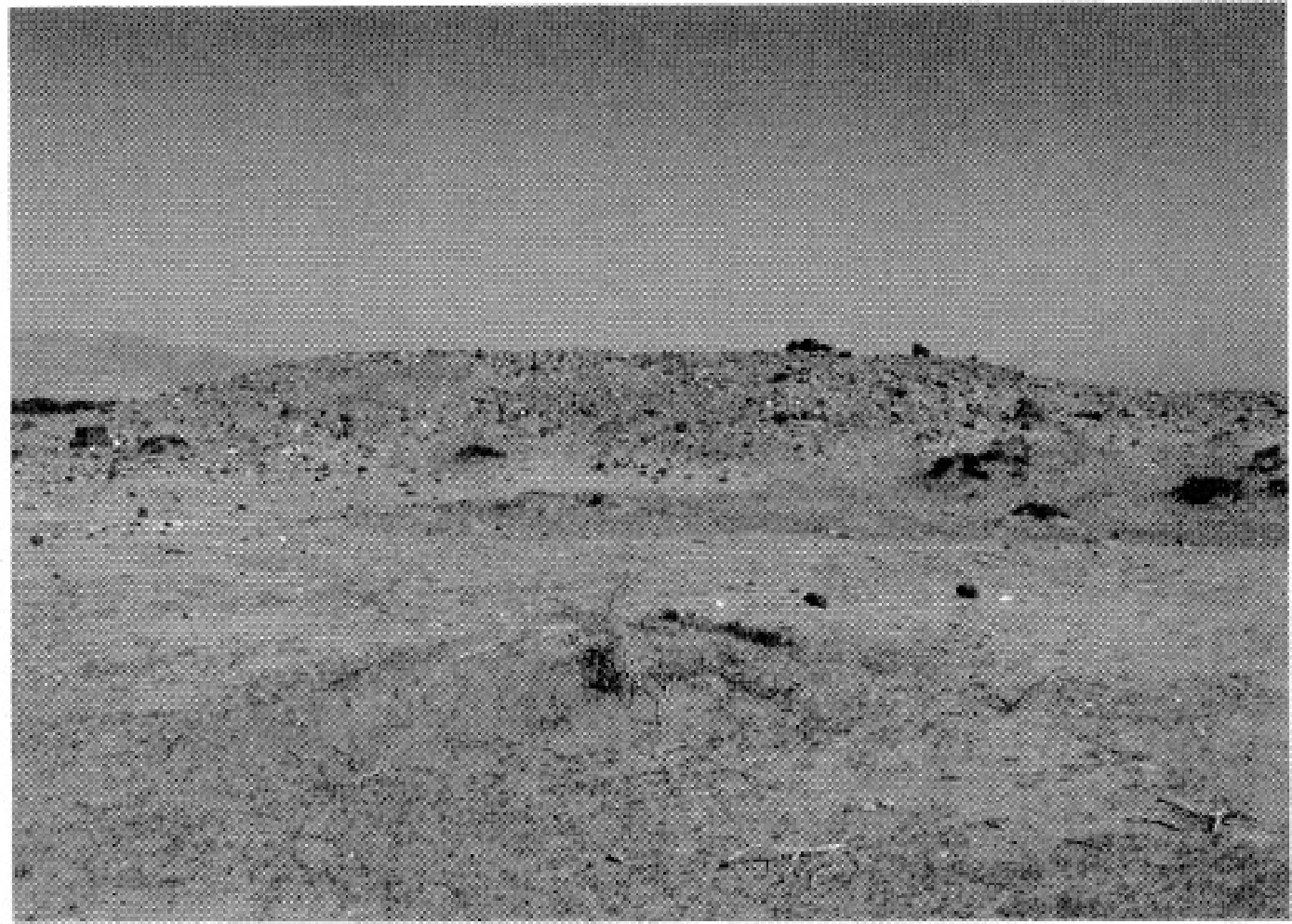 The Ancient Red Sea Port of Adulis, Eritrea: Results of the Eritro-British Expedition, 2004-5 — illustration 1, PDF page 114