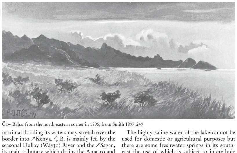 Illustration, Encyclopaedia Aethiopica volume 5, PDF page 321