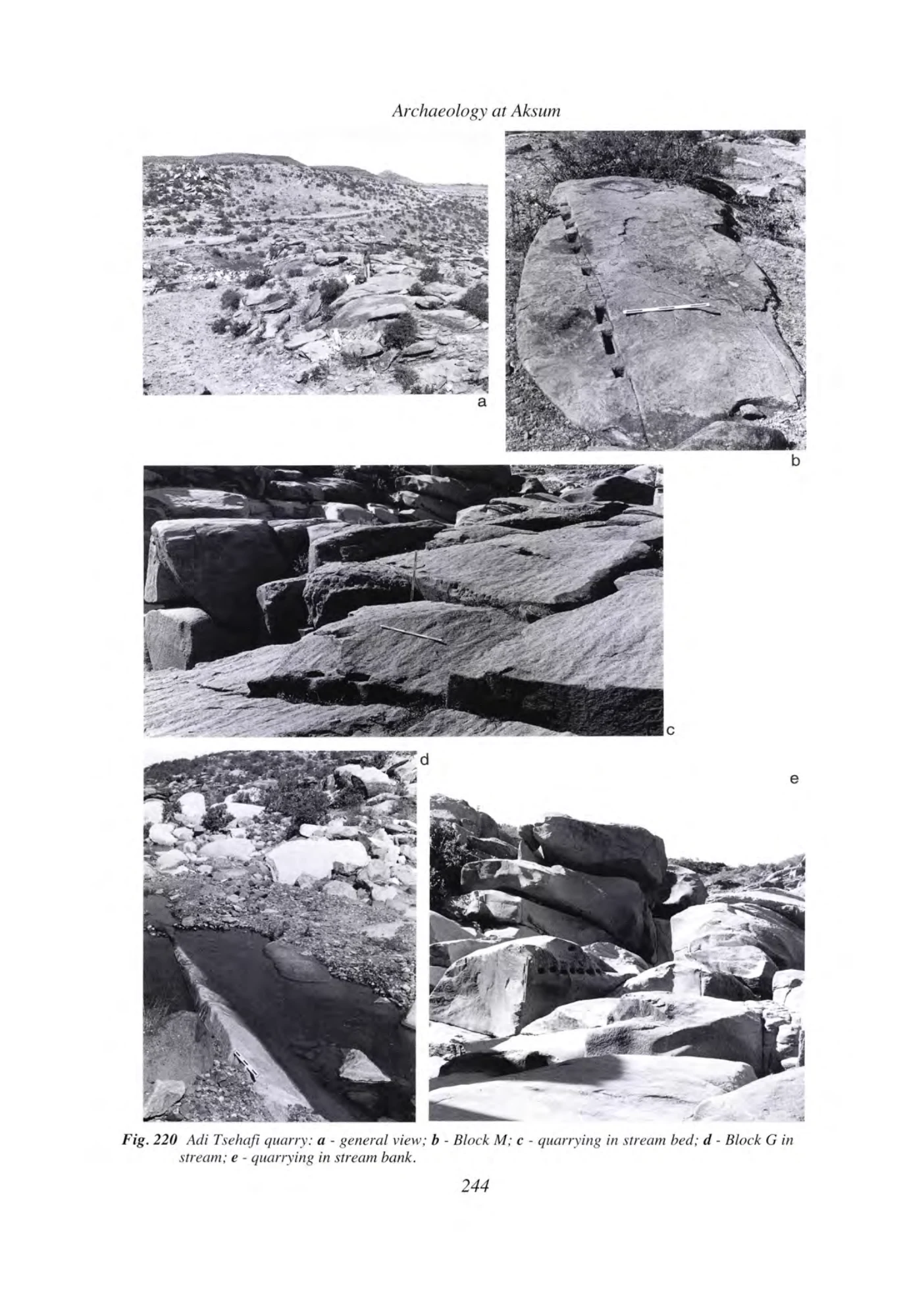 Archaeology at Aksum, Ethiopia, 1993-7, Volume I — illustrated page 263