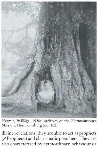 Illustration, Encyclopaedia Aethiopica volume 3, PDF page 46