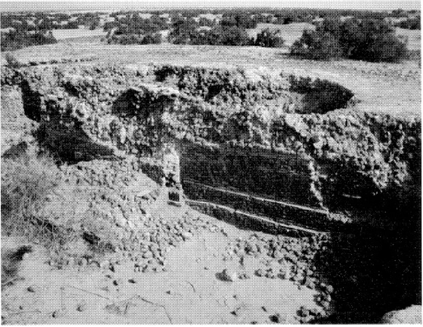 The Ancient Red Sea Port of Adulis, Eritrea: Results of the Eritro-British Expedition, 2004-5 — illustration 1, PDF page 172
