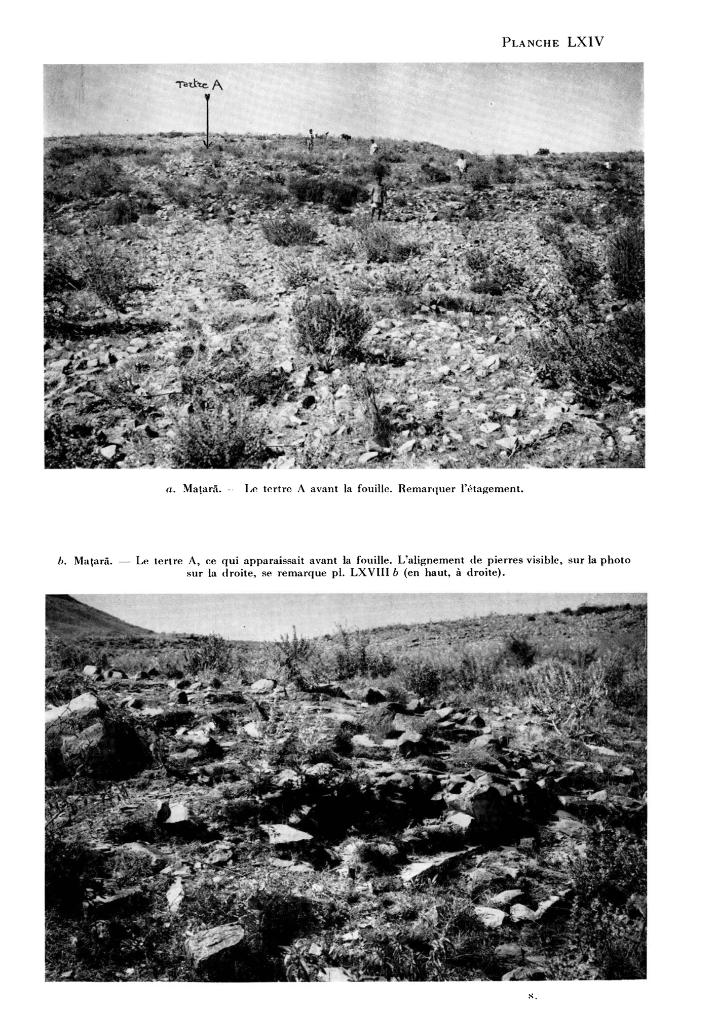 Première campagne de fouilles à Maṭarā (Nov. 1959- Janv. 1960) — PDF page 31