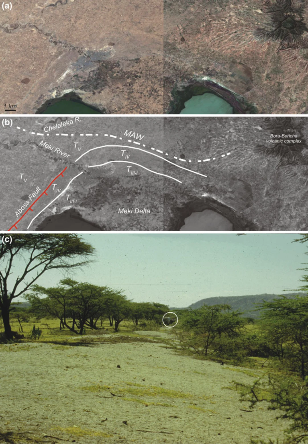 Landscapes and Landforms of Ethiopia — illustration 1, PDF page 293