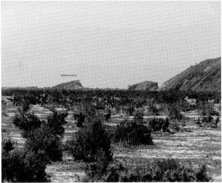The Ancient Red Sea Port of Adulis, Eritrea: Results of the Eritro-British Expedition, 2004-5 — illustration 1, PDF page 67