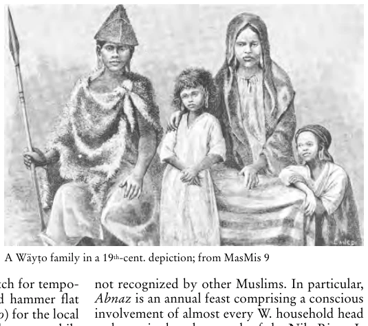 Illustration, Encyclopaedia Aethiopica volume 4, PDF page 1190