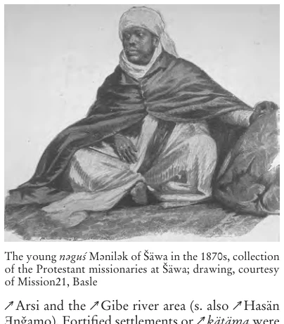 Illustration, Encyclopaedia Aethiopica volume 3, PDF page 951