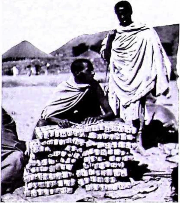 In Imperial Order: The German Aksum Expedition 1906 under Enno Littmann, Volume 3: Ethnographic, church-historical and archaeological-historical investigations — illustration 1, PDF page 247