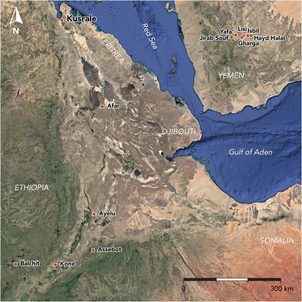 The provenance of obsidian artefacts from the Middle Kingdom harbour of Mersa/Wadi Gawasis, Egypt, and its implications for Red Sea trade routes in the 2nd millennium BC — illustration 1, PDF page 5