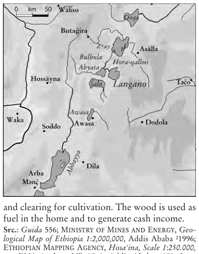 Illustration, Encyclopaedia Aethiopica volume 3, PDF page 531