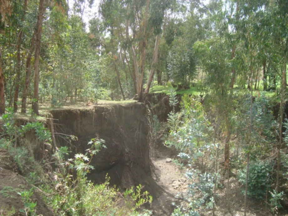 Geo-trekking in Ethiopia's Tropical Mountains: The Dogu'a Tembien District — illustration 1, PDF page 601