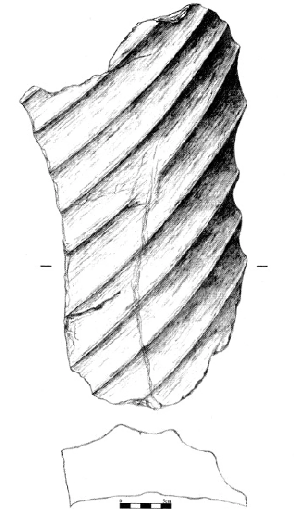 The Ancient Red Sea Port of Adulis, Eritrea: Results of the Eritro-British Expedition, 2004-5 — illustration 1, PDF page 184