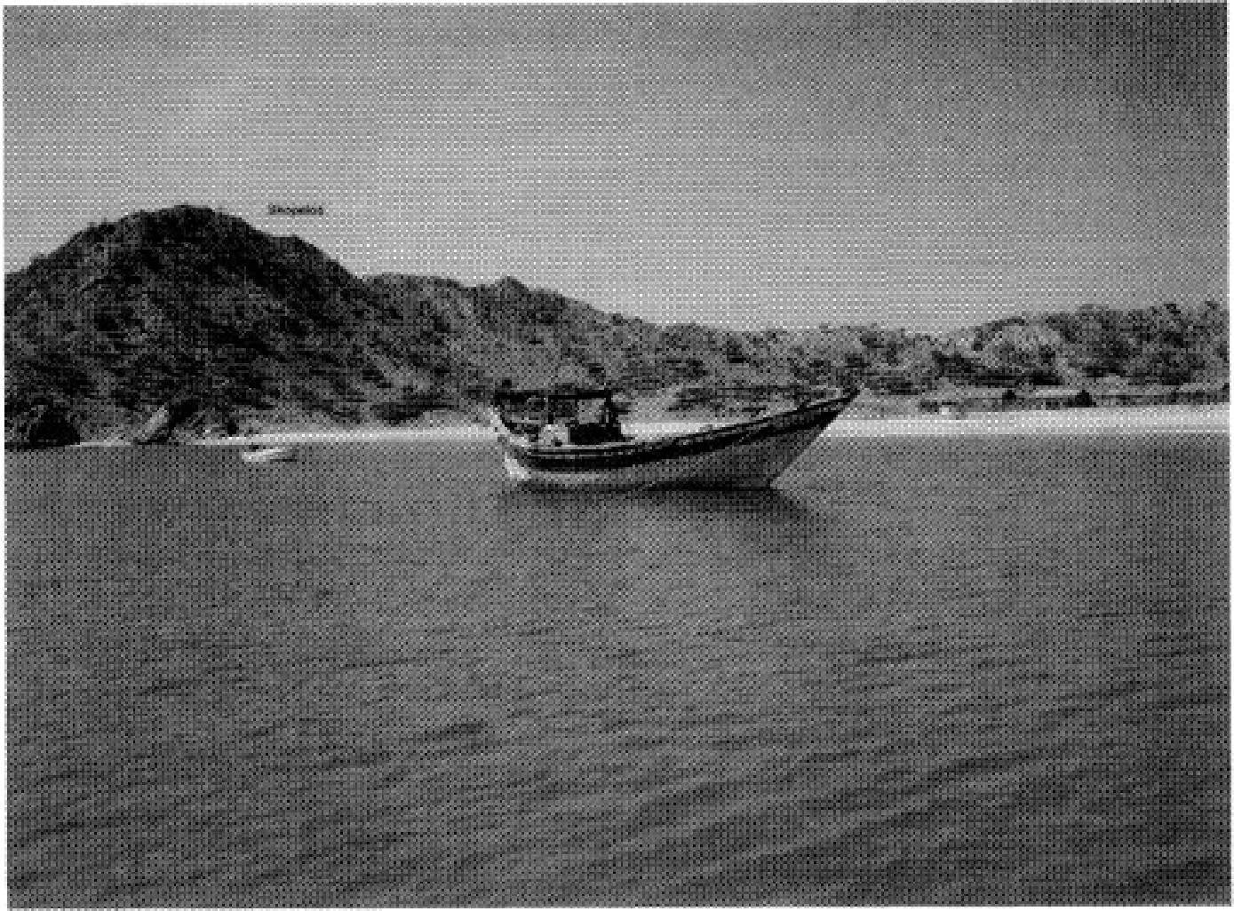 The Ancient Red Sea Port of Adulis, Eritrea: Results of the Eritro-British Expedition, 2004-5 — illustration 1, PDF page 101