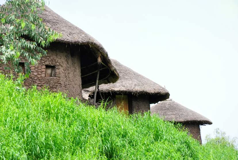 Lalibela tukuls: thatched round houses on the hillside.