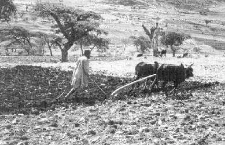 A History of Ethiopia — illustration 1, PDF page 18