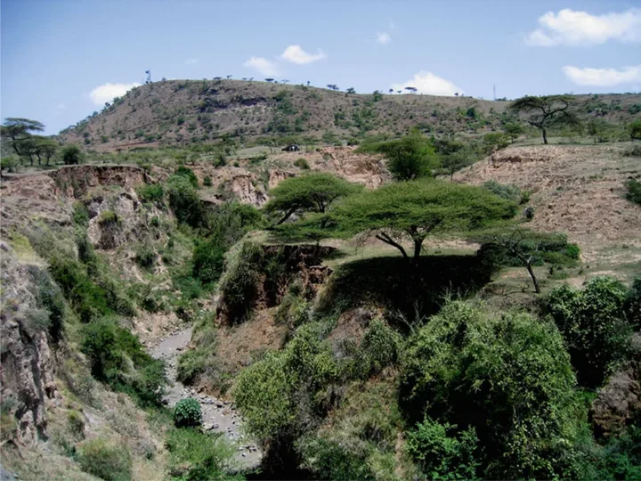 Landscapes and Landforms of Ethiopia — illustration 2, PDF page 14