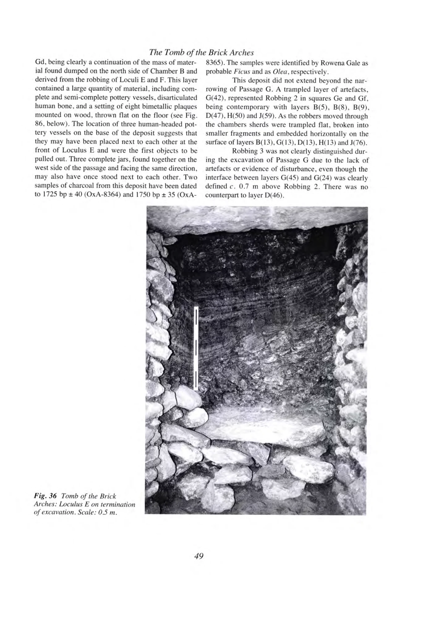 Archaeology at Aksum, Ethiopia, 1993-7, Volume I — illustrated page 66