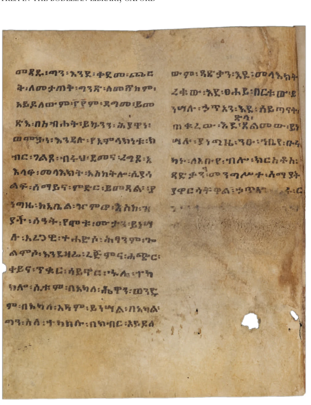 Treasures of Ethiopia and Eritrea in the Bodleian Library, Oxford — illustration 1, PDF page 106