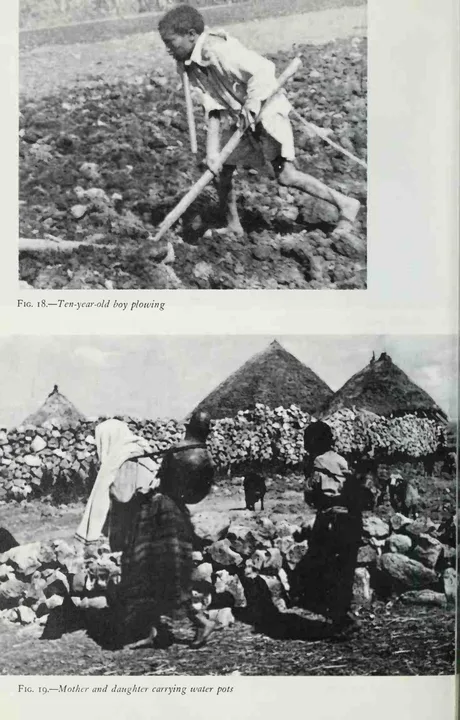 Wax & Gold: Tradition and Innovation in Ethiopian Culture — illustrated page 138