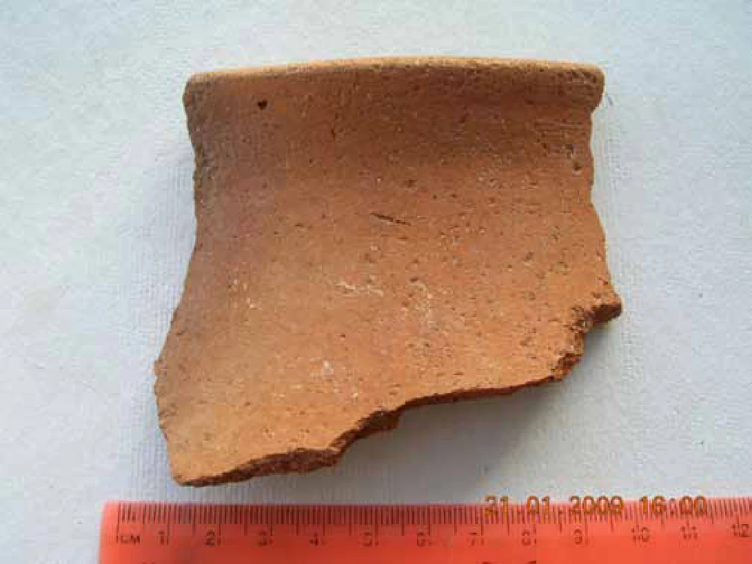Egypt’s trade with Punt: New discoveries on the Red Sea coast — illustration 1, PDF page 56