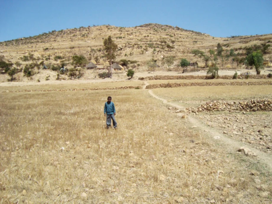 Geo-trekking in Ethiopia's Tropical Mountains: The Dogu'a Tembien District — illustration 1, PDF page 446