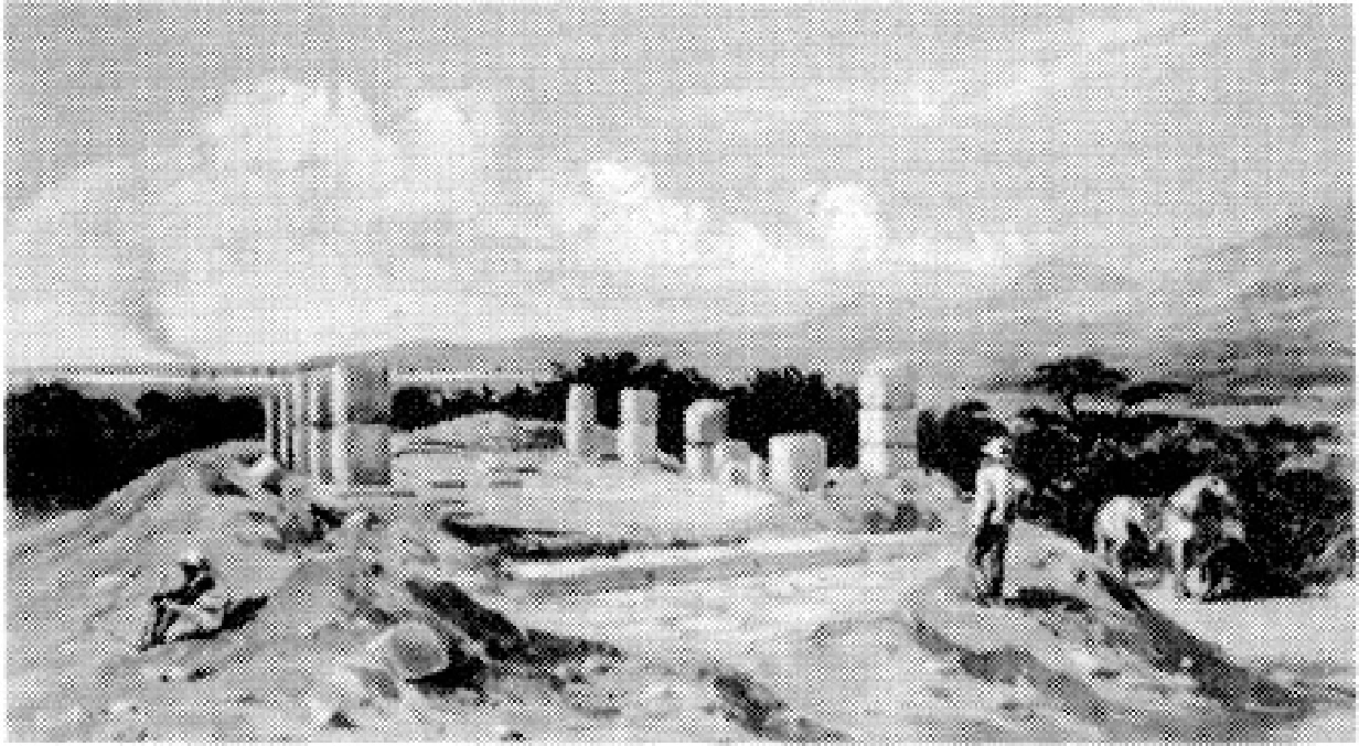 The Ancient Red Sea Port of Adulis, Eritrea: Results of the Eritro-British Expedition, 2004-5 — illustration 1, PDF page 51