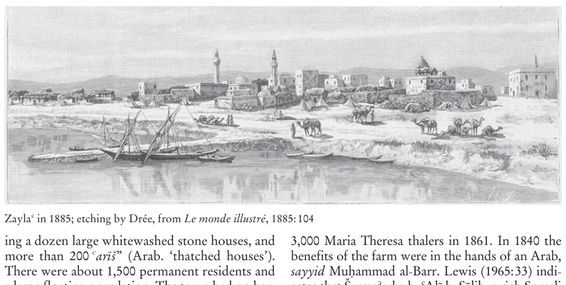 Illustration, Encyclopaedia Aethiopica volume 5, PDF page 199