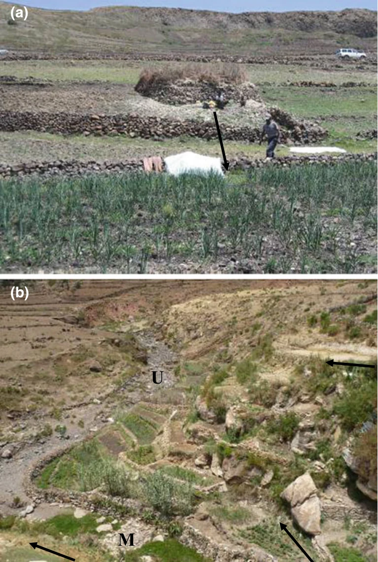 Geo-trekking in Ethiopia's Tropical Mountains: The Dogu'a Tembien District — illustration 1, PDF page 226