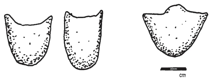 Foundations of an African Civilisation: Aksum & the Northern Horn 1000 BC - AD 1300 — illustration 1, PDF page 51