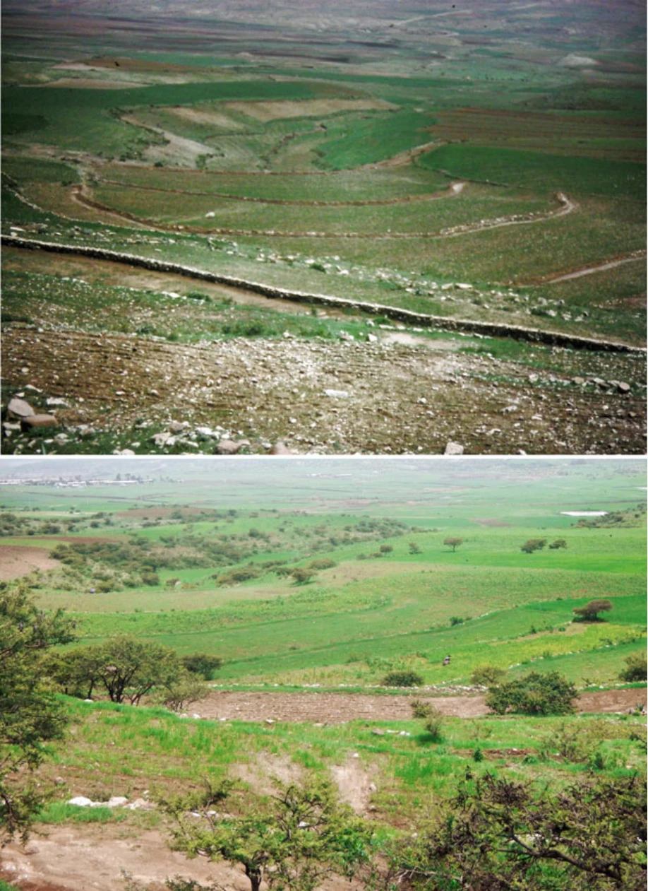Geo-trekking in Ethiopia's Tropical Mountains: The Dogu'a Tembien District — illustration 1, PDF page 488