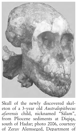 Illustration, Encyclopaedia Aethiopica volume 3, PDF page 92