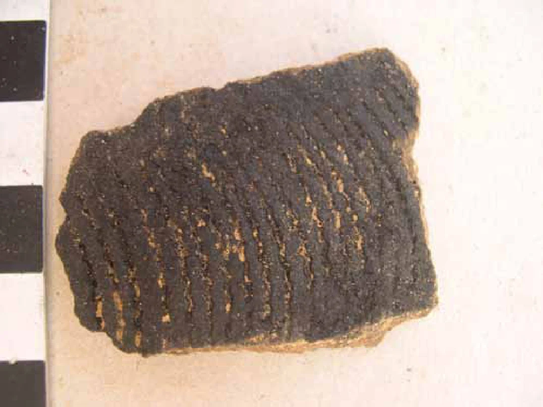 Egypt’s trade with Punt: New discoveries on the Red Sea coast — illustration 2, PDF page 56