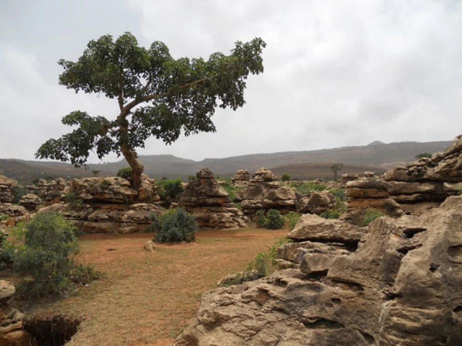 Geo-trekking in Ethiopia's Tropical Mountains: The Dogu'a Tembien District — illustration 1, PDF page 134