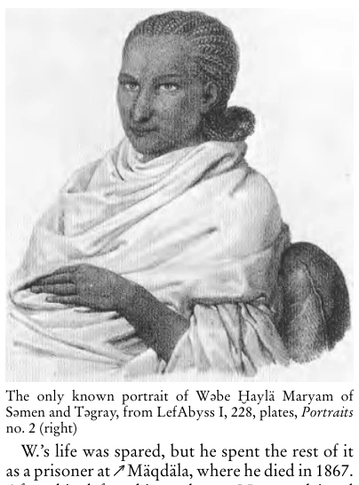 Illustration, Encyclopaedia Aethiopica volume 4, PDF page 1198