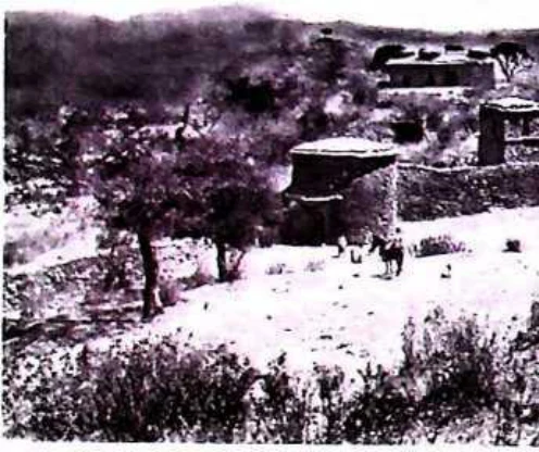 In Imperial Order: The German Aksum Expedition 1906 under Enno Littmann, Volume 3: Ethnographic, church-historical and archaeological-historical investigations — illustration 1, PDF page 348
