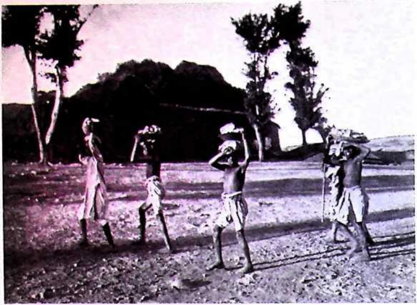 In Imperial Order: The German Aksum Expedition 1906 under Enno Littmann, Volume 3: Ethnographic, church-historical and archaeological-historical investigations — illustration 1, PDF page 240