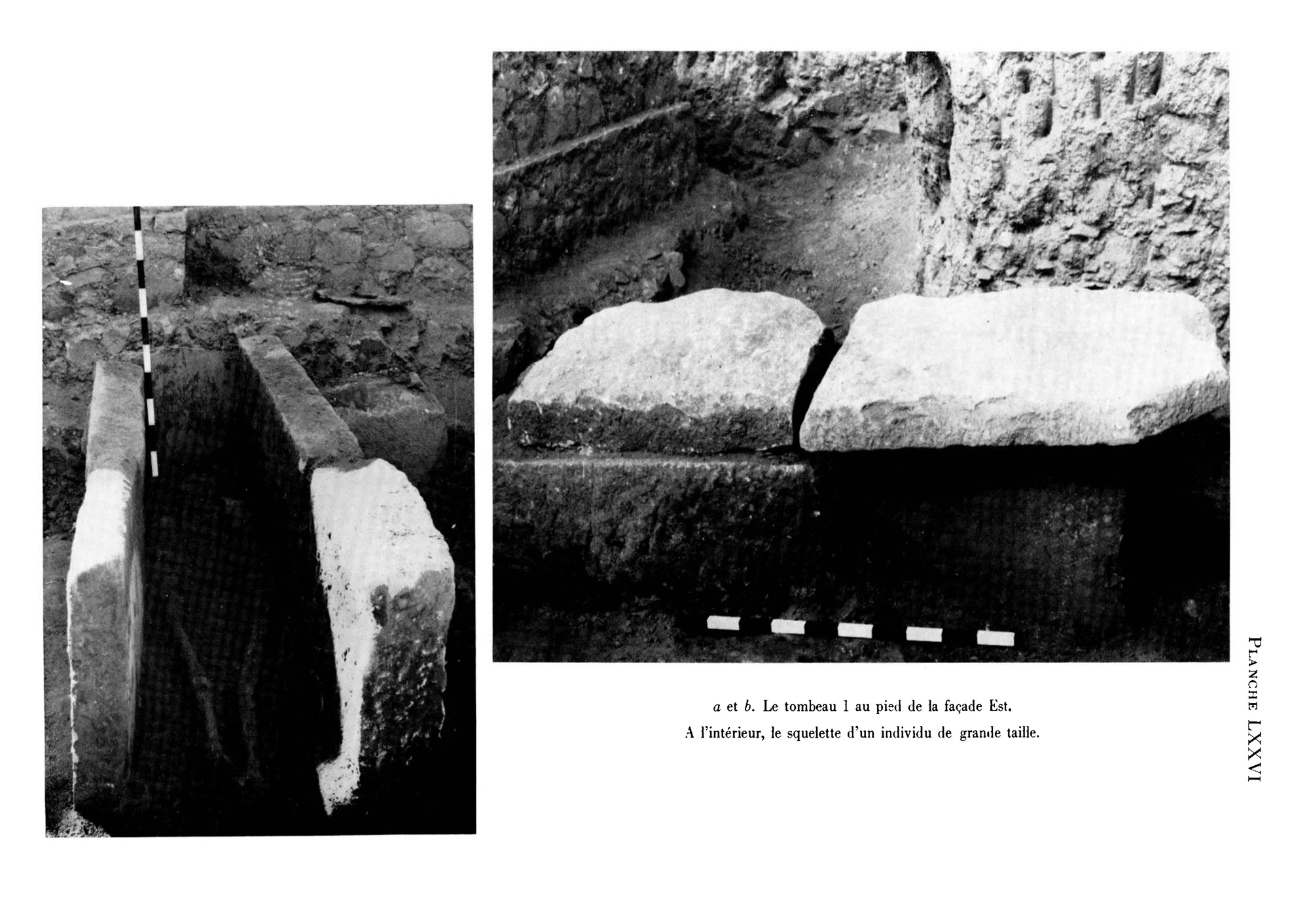 Première campagne de fouilles à Maṭarā (Nov. 1959- Janv. 1960) — PDF page 43