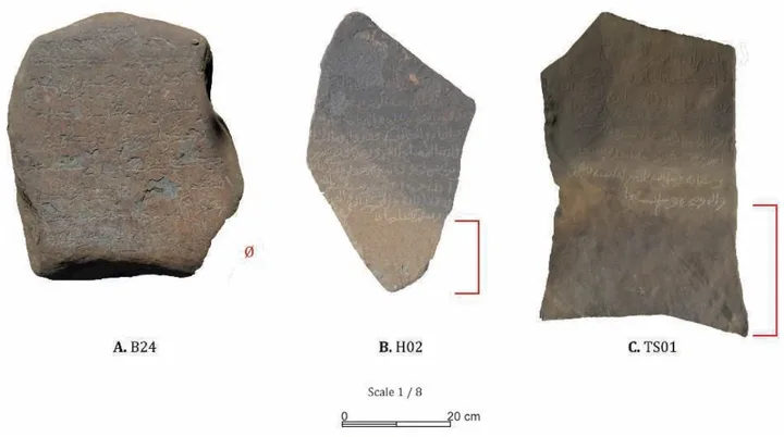 The Medieval Muslim Cemeteries of Tigray (Ethiopia): Preliminary Remarks on their Materiality (Architectural and Lapidary Aspects) — illustration 1, PDF page 21