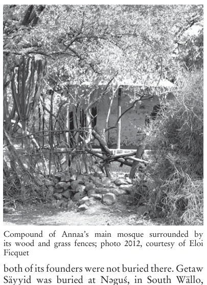 Illustration, Encyclopaedia Aethiopica volume 5, PDF page 274