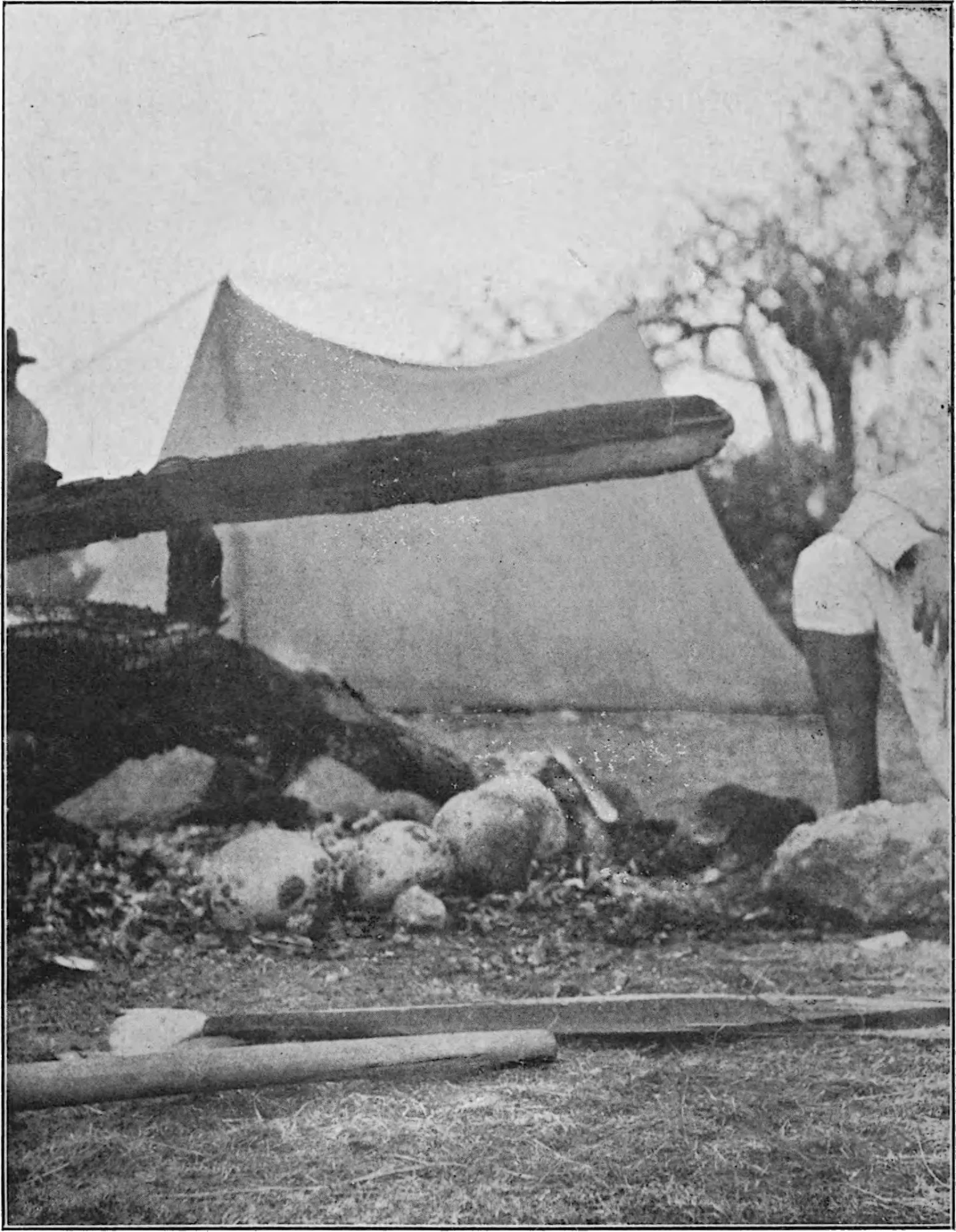 Publications of the Princeton Expedition to Abyssinia, Volume II: Tales and Stories of the Tigre Tribes: English Translation — illustration 1, PDF page 273