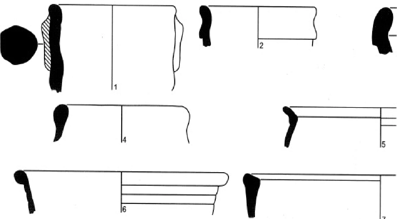 The Ancient Red Sea Port of Adulis, Eritrea: Results of the Eritro-British Expedition, 2004-5 — illustration 1, PDF page 137
