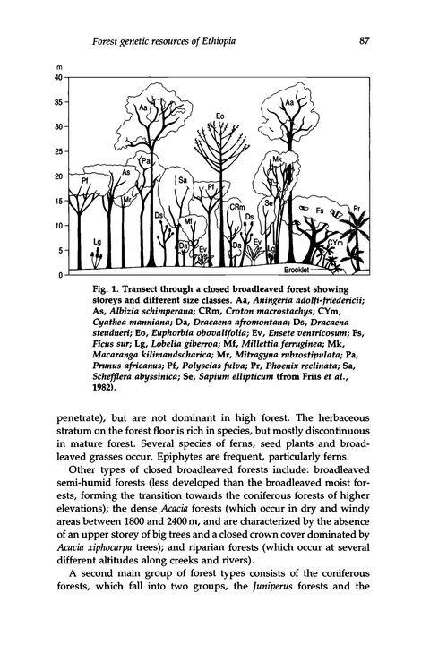 Plant genetic resources of Ethiopia — illustrated page 102