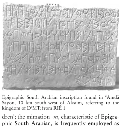 Illustration, Encyclopaedia Aethiopica volume 3, PDF page 185