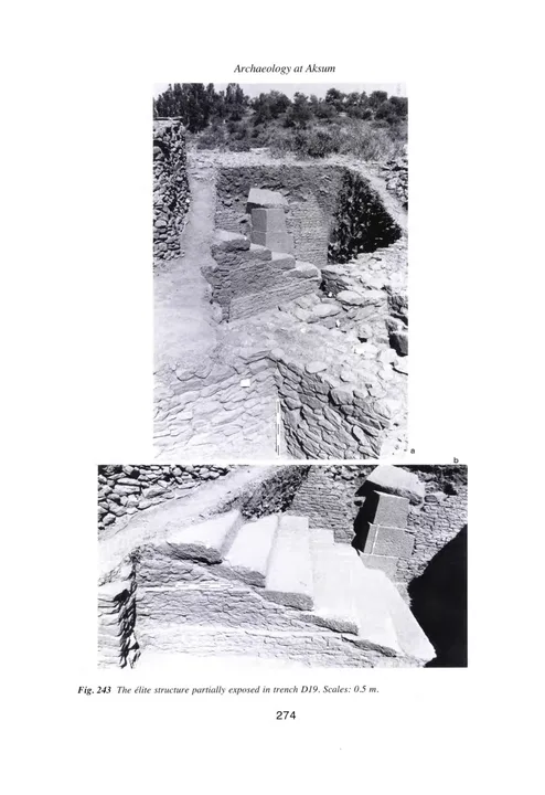 Archaeology at Aksum, Ethiopia, 1993-7, Volume II — illustrated page 21