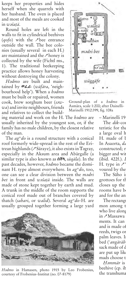 Illustrations, Encyclopaedia Aethiopica volume 3, PDF page 111